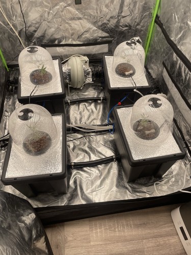 Rdwc complete grow room - grow,
